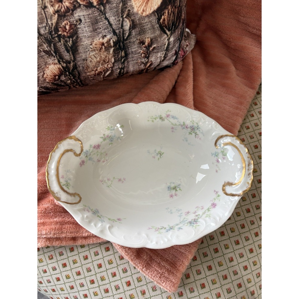 Theodore‎ Haviland Limoges SCHLEIGER Blue Pink Floral Oval Serving Veggie Bowl